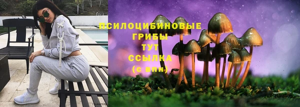 альфа пвп Дмитровск