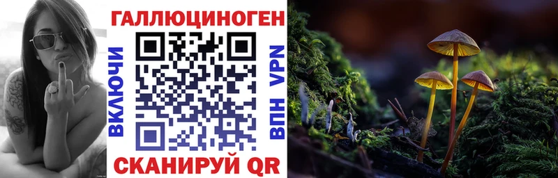 Галлюциногенные грибы GOLDEN TEACHER  Купить закладки  Тосно 